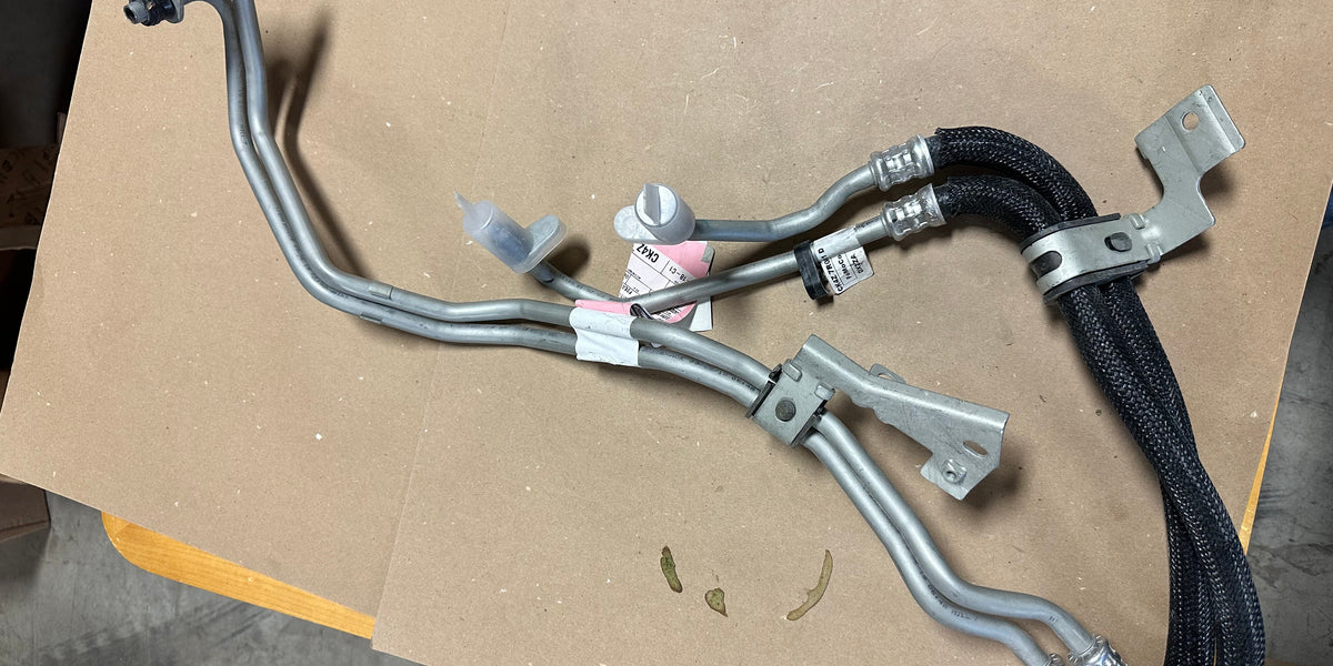 IMG-3489_08cf5653-594b-486f-